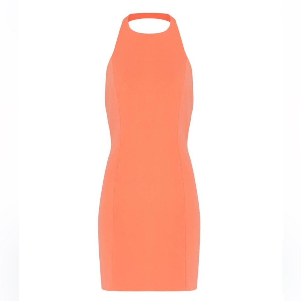 Jay Godfrey Papaya Benioff Dress